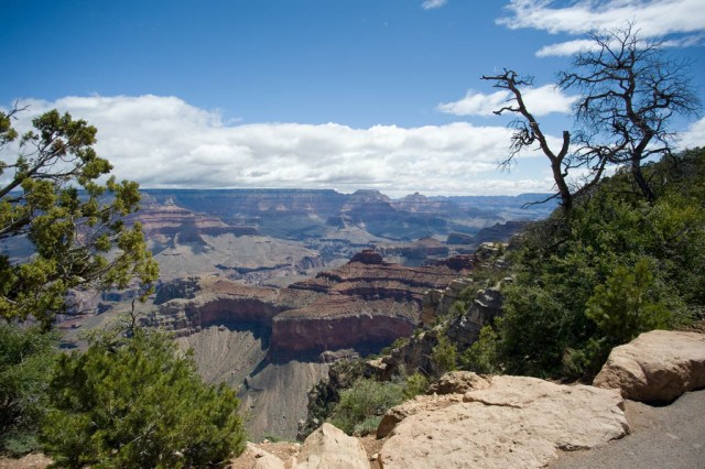 Looking upstream (north-east)