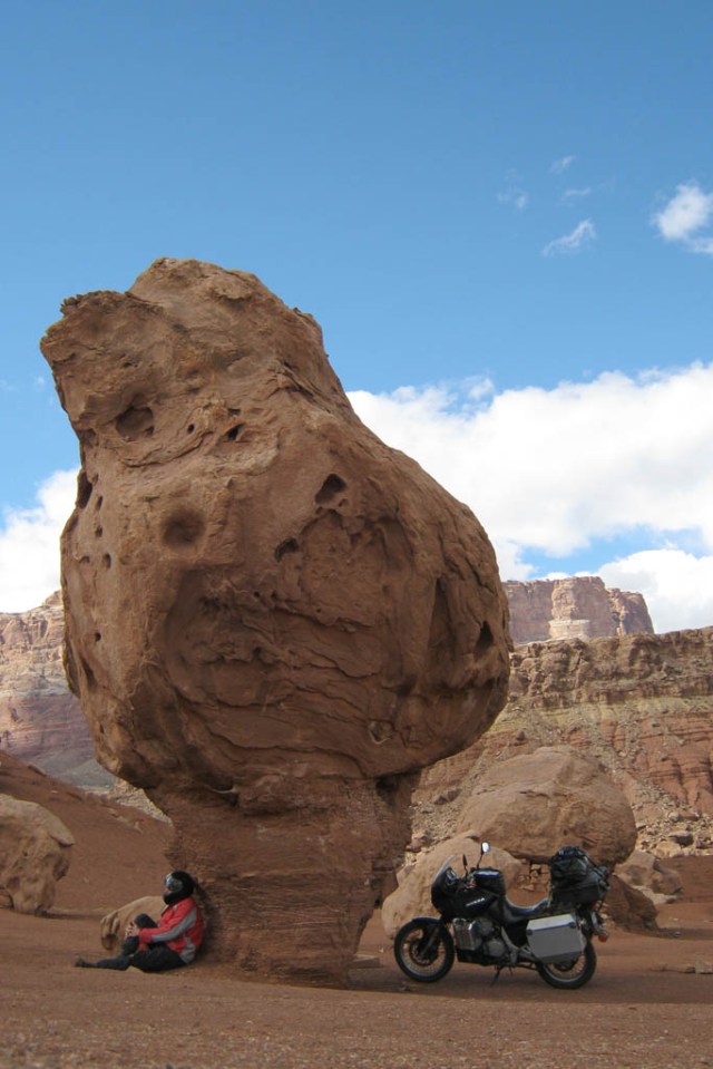 Some shade from the sun near Cliff Dwellers, AZ