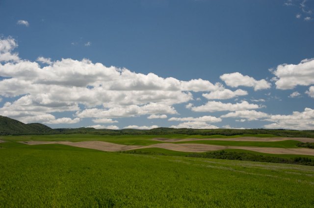 I can't remember when I've seen Idaho covered in such lush green growth. I can't remember when I've seen Idaho covered in such lush green growth.