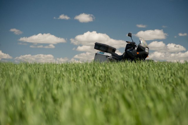 Floating on a sea of green. Floating on a sea of green.
