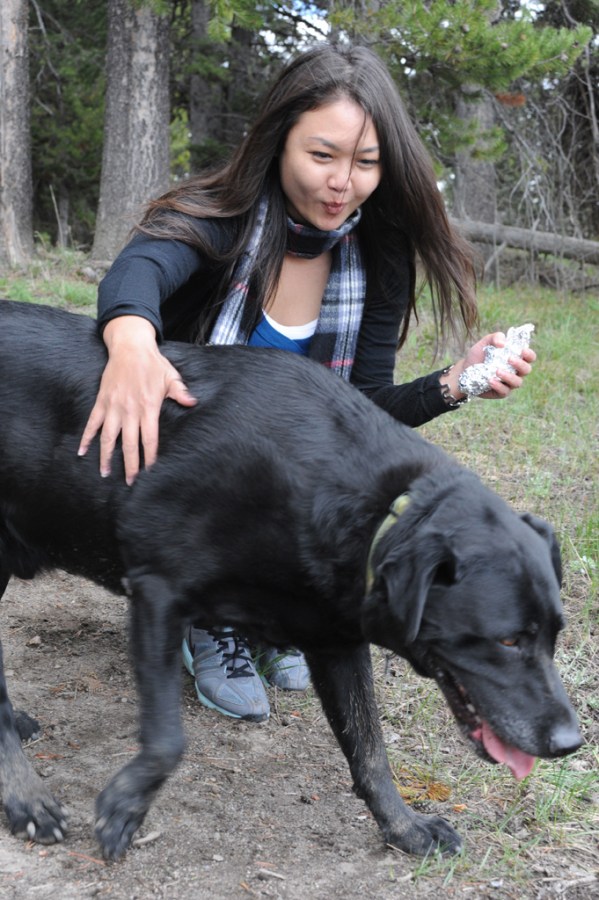 It's not the grizzly bears you need to worry about, it's the tourist dogs, this one ate half our pizza!