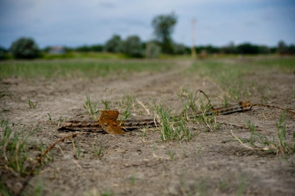 Fence ruined from the flood.