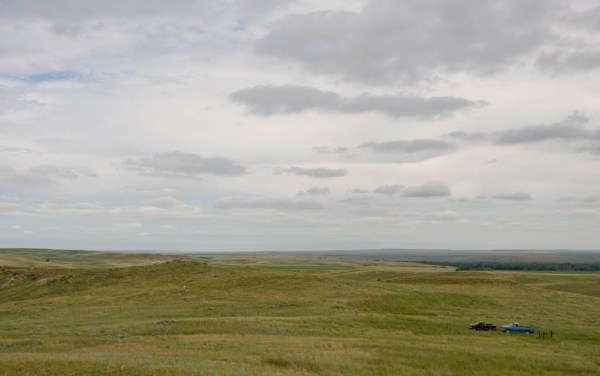The Vandalia pasture, a thousand acres of rolling, badlands buffet for the cows.