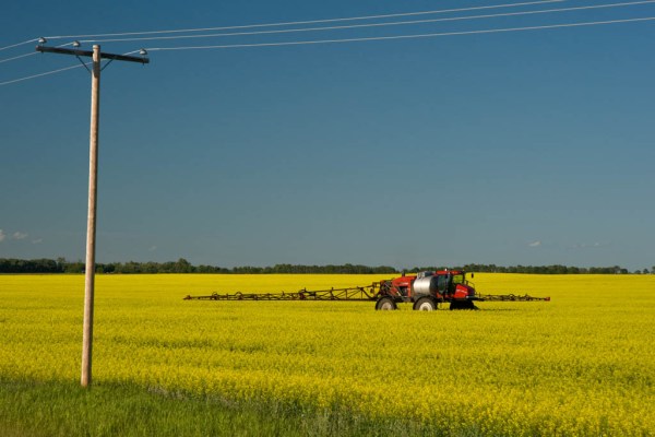 The driver of this fertilizer tractor noticed me taking pictures and while waving hello, made a special trip to the near side of the plot for me to get this shot. Thanks tractor driver!