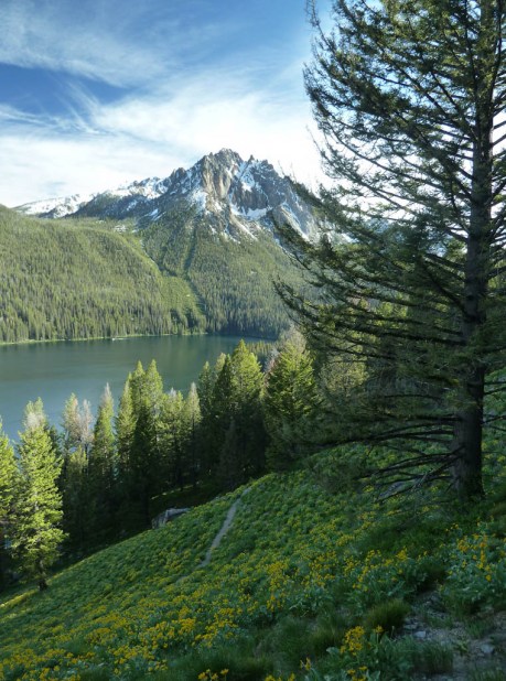 Evening light on the way home above Redfish Lake with Mount Mogul (9,733') behind. - Composite image