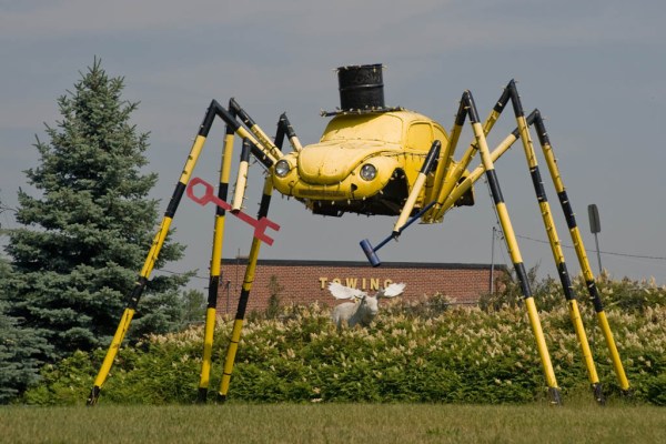 A Kenora beetle - simply awesome.