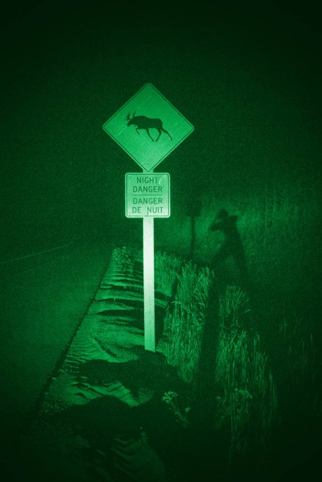 Night Danger found with the aid of night vision goggles.