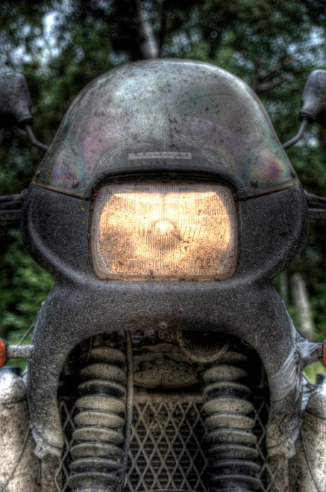 The Camel needs a bath. - HDR