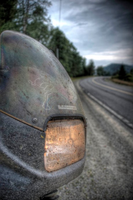 The Camel needs a bath. - HDR