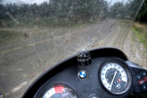 The Camel needs a bath. - HDR