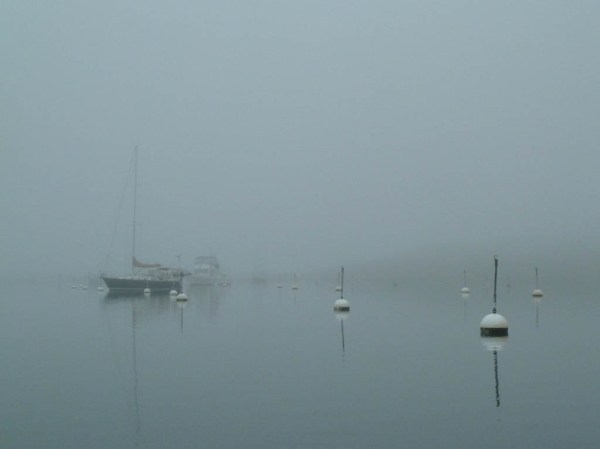 The mooring field in Cuttyhunk Pond.