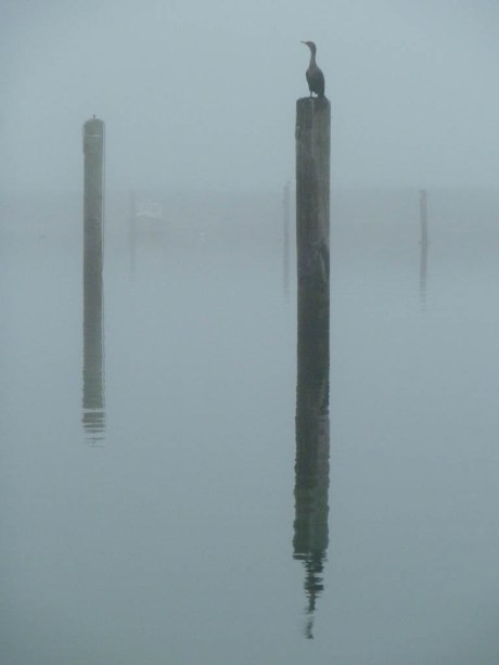 Still life with bird on a piling.