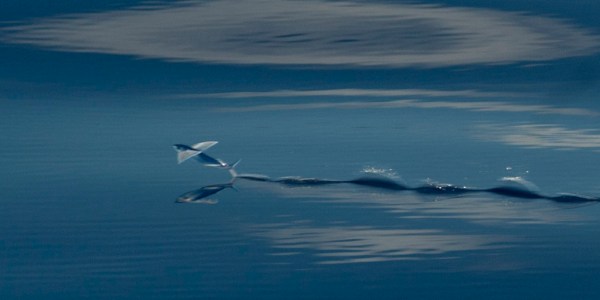 Almost airborne. Almost airborne.