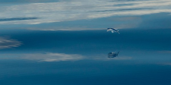 Coming in for landing. Coming in for landing.