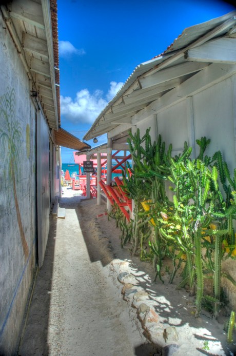 Heading to the beach. - HDR Heading to the beach. - HDR