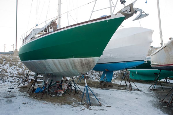 A cold existence for poor Northern Cross.