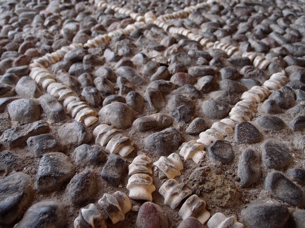 Beautiful cobblestone sidewalks inlaid with vertebrae of some sort. Beautiful cobblestone sidewalks inlaid with vertebrae of some sort.