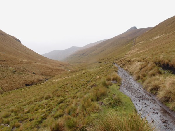 The Inca Trail leading away from Achupallas into the Rio Cadrul valley. Elevation here is about 11,500ft / 3,500m.