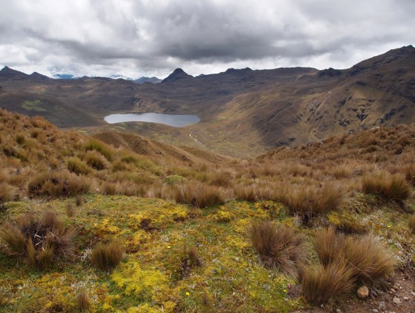 Looking toward Laguna Sanshavin and the wilderness of Sangay National Park.