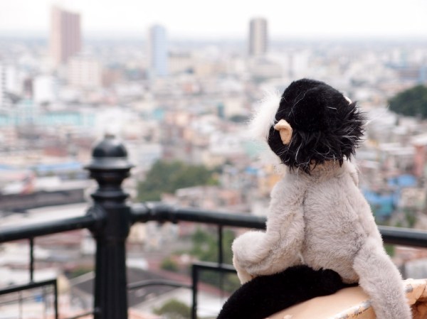 Tristan enjoys the view of Guayaquil from Santa Ana Hill.