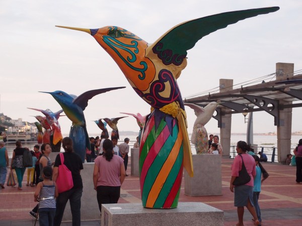 A few of the hundreds of birds on display as part of a traveling Quito art exhibit entitled "Jardín de Quindes".