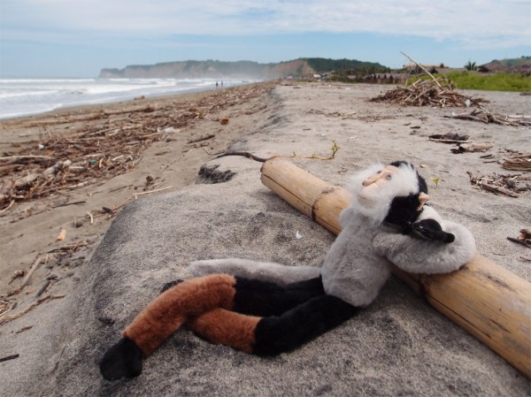 Tristan doing what he does best - enjoying life - the next morning.