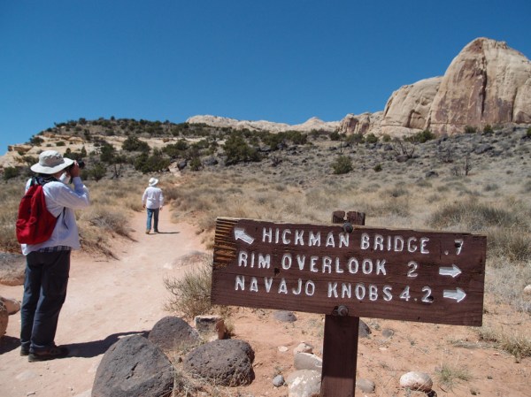 Enough trails to keep us busy for a few days!