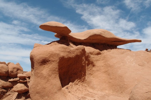 The Loch Ness Monster? A turtle? A snake?