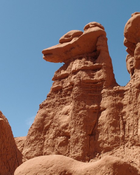 This one's easy, it's obviously an alligator-headed penguin wearing motorcycle goggles.