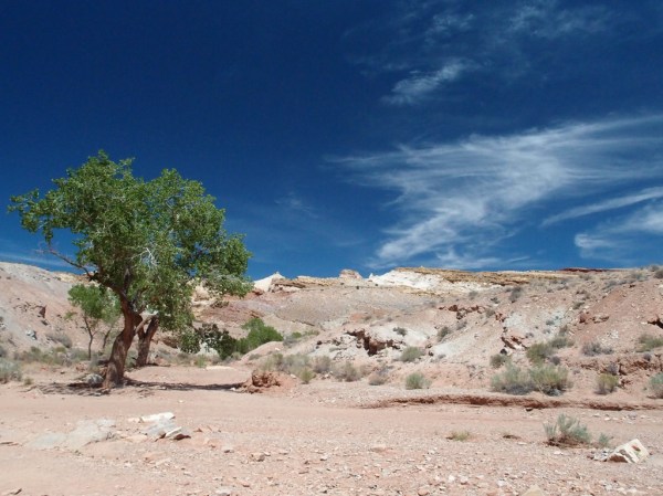 Hiking up the wash leading into Little Wild Horse and Bell Canyons.