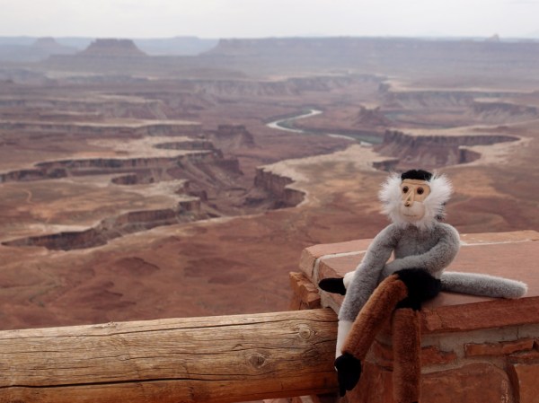 Tristan enjoys the view from the Green River Overlook in Canyonlands.