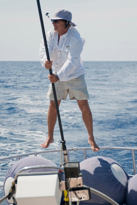 Gary getting some morning exercise jumping on the fenders.