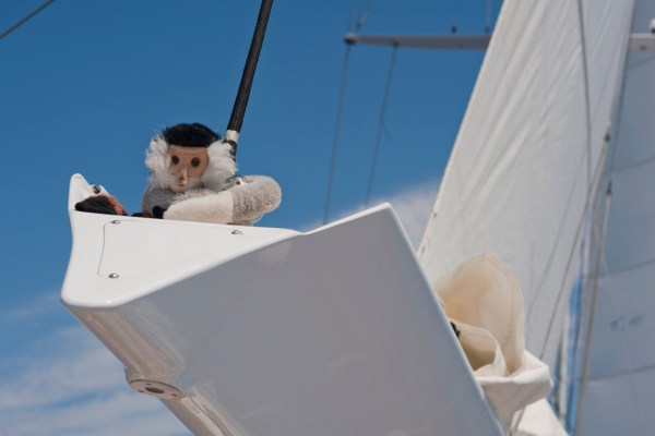 Tristan peering down from his secret stash of rum in the boom.