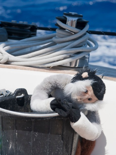 It took a little while for poor seasick Tristan to get his sea legs.