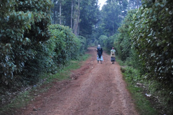 Walking home after the Ruracio. One of my favorite photos from the trip.