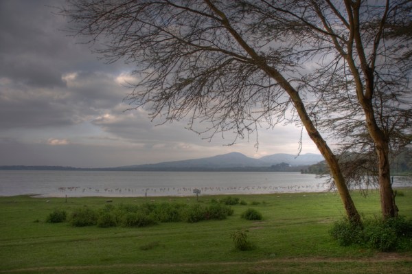 Flamingos dot the shoreline of Lake Naivasha. HDR Composite.