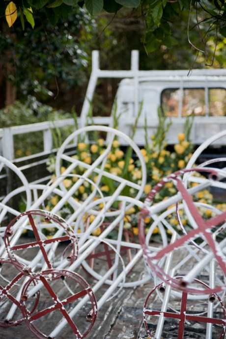 Flower preparations.