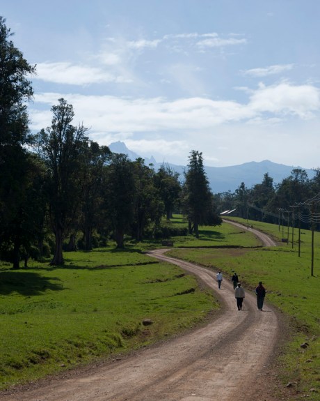 Mt. Kenya (5,199 m - 17,057 ft) rises in the distance.