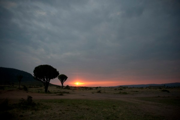 A beautiful Serengeti sunrise means it's time to go find some animals eating breakfast.