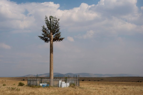 Cell phone towers in Kenya are disguised as comically as they are in the US.