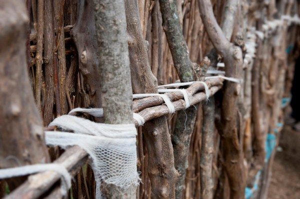 Saplings bound together form the structure within the walls of a manyatta house under construction.