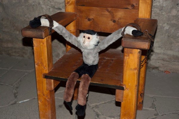 Tristan doing time in the castle torture chamber.