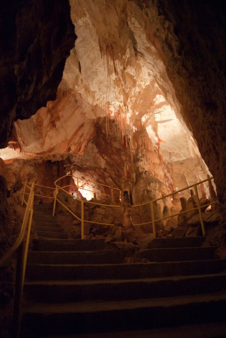 "Soda straw" stalactites hang from the ceiling.