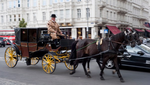 Carriage rides in downtown Vienna.