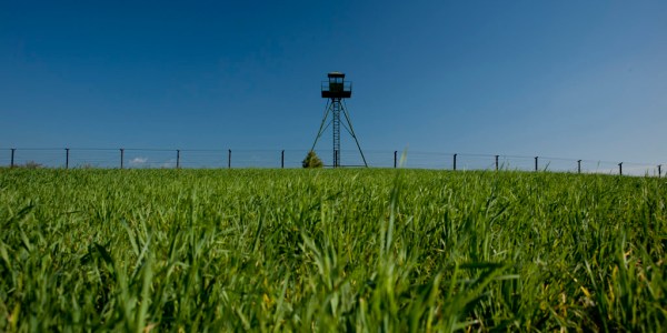 Hauntingly beautiful.