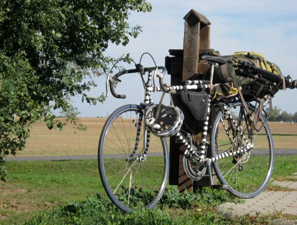 Punda Milia looking as proud as ever, if not just a bit tired.